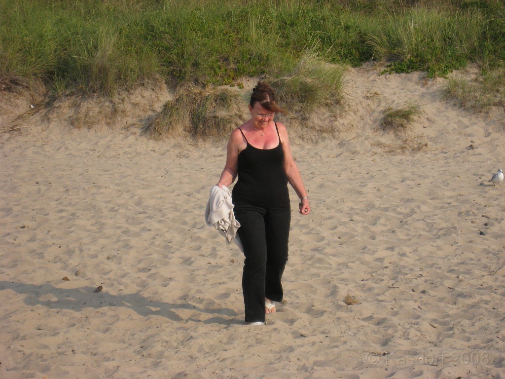 Michigans West Coast 2009 2315.jpg - Labor Day 2009. A trip along Michigans west coast to see beachs, art and buffets.